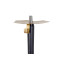 Кальян Embery Wood-ENVOLVE Hookah - GOLD/black - фото №3 Аромадим